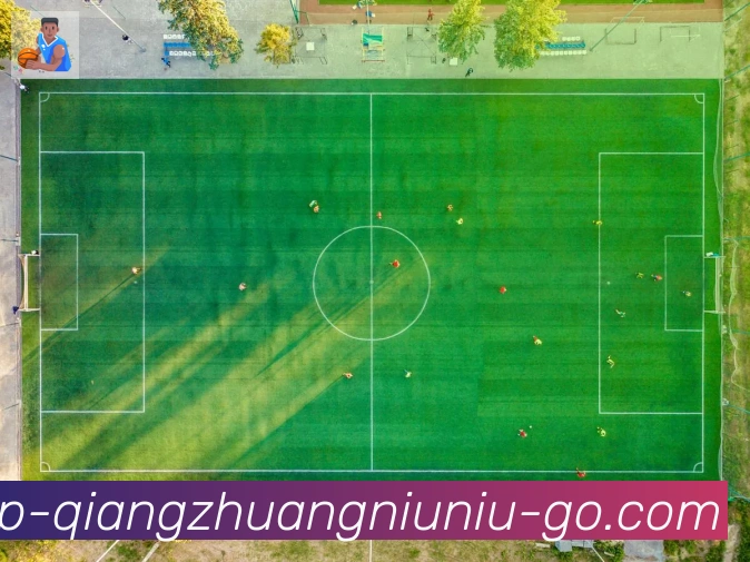 App功能展示图